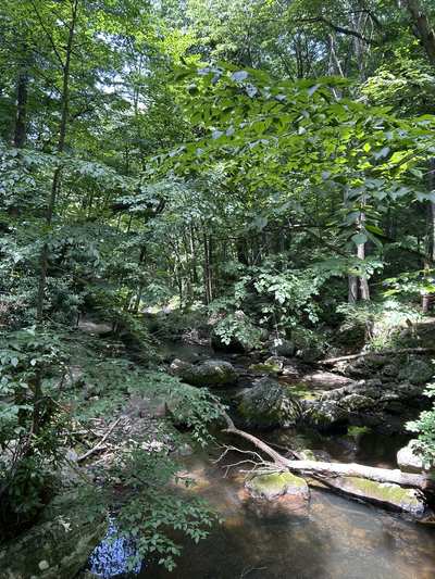 Creek in the woods near Blacksburg